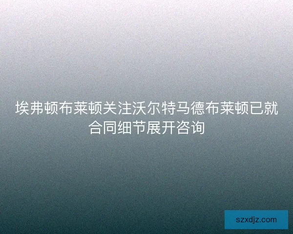 埃弗顿布莱顿关注沃尔特马德布莱顿已就合同细节展开咨询